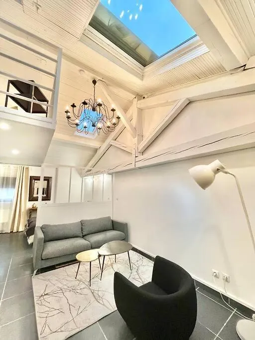 Loft Coeur Villeurbanne Proche Lyon 0*,