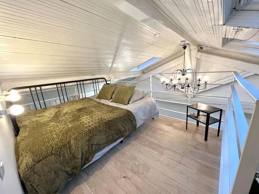 Apartment Loft Coeur Villeurbanne Proche Lyon France