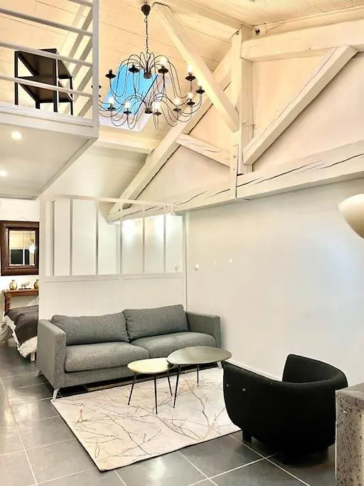 Apartment Loft Coeur Villeurbanne Proche Lyon